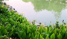 陕西有史以来最大的水利工程：引汉济渭工程正式通水