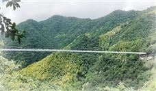 不惧“烤”验!瓯江引水工程施工持续推进中 不惧“烤”验!瓯江引水工程施工持续推进中