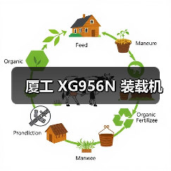 厦工 XG956N 装载机（图4）