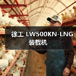 徐工 LW500KN-LNG 装载机