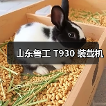 山东鲁工 T930 装载机（图2）