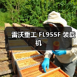 雷沃重工 FL955F 装载机
