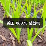 徐工 XC978 装载机（图3）