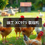 徐工 XC975 装载机