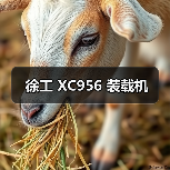 徐工 XC956 装载机（图2）