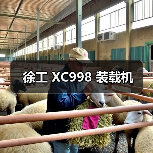 徐工 XC998 装载机（图2）