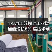 1-8月江苏规上工业增加值增长8% 高技术制造业表现亮眼（图3）