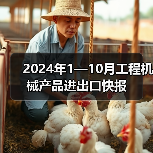 2024年1—10月工程机械产品进出口快报