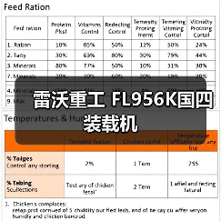 雷沃重工 FL956K国四 装载机（图2）