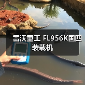 雷沃重工 FL956K国四 装载机
