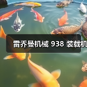 雷乔曼机械 938 装载机（图2）