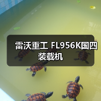 雷沃重工 FL956K国四 装载机（图3）