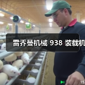 雷乔曼机械 938 装载机（图3）