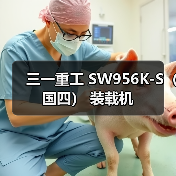三一重工 SW956K-S（国四） 装载机（图4）