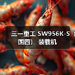三一重工 SW956K-S（国四） 装载机（图2）