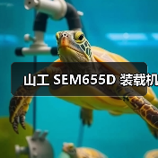 山工 SEM655D 装载机（图4）