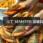 山工 SEM655D 装载机（图2）