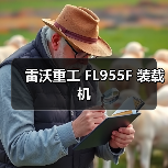 雷沃重工 FL955F 装载机（图4）