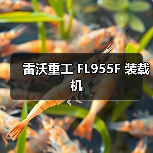 雷沃重工 FL955F 装载机（图3）
