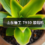 山东鲁工 T930 装载机（图4）
