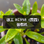 徐工 XC958（国四） 装载机（图4）
