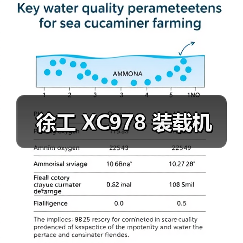 徐工 XC978 装载机