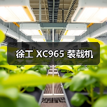 徐工 XC965 装载机（图2）