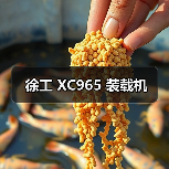 徐工 XC965 装载机（图4）