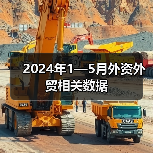 2024年1—5月外资外贸相关数据（图2）