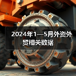 2024年1—5月外资外贸相关数据