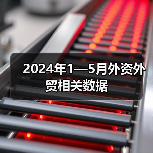 2024年1—5月外资外贸相关数据（图4）