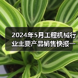 2024年5月工程机械行业主要产品销售快报一（图2）