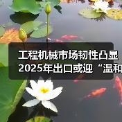 工程机械市场韧性凸显 2025年出口或迎“温和增长”（图3）