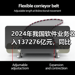 2024年我国软件业务收入137276亿元，同比增长10.0%（图2）