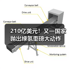 210亿美元！又一国家抛出绿氢重磅大动作（图2）