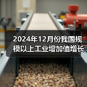 2024年12月份我国规模以上工业增加值增长6.2%(图3) 2024年12月份我国规模以上工业增加值增长6.2%(图3)