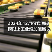2024年12月份我国规模以上工业增加值增长6.2%(图2) 2024年12月份我国规模以上工业增加值增长6.2%(图2)