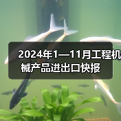2024年1—11月工程机械产品进出口快报（图4）