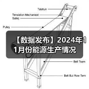 【数据发布】2024年11月份能源生产情况（图2）