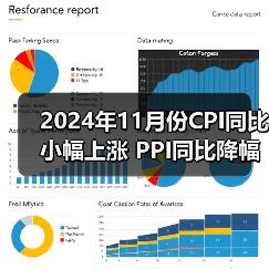 2024年11月份CPI同比小幅上涨 PPI同比降幅收窄（图3）