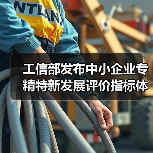 工信部发布中小企业专精特新发展评价指标体系（图2）