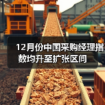 12月份中国采购经理指数均升至扩张区间（图4）
