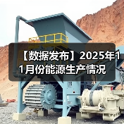 【数据发布】2025年11月份能源生产情况（图4）